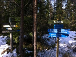 Tavlene, tett opptil "treriksrøysa" der Eidsberg, Marker og Høland møtes.