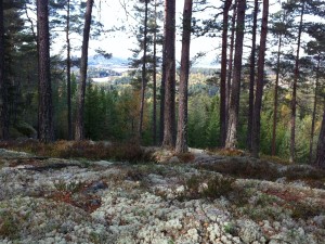 Utsikt fra liene sør for Ånnerud.